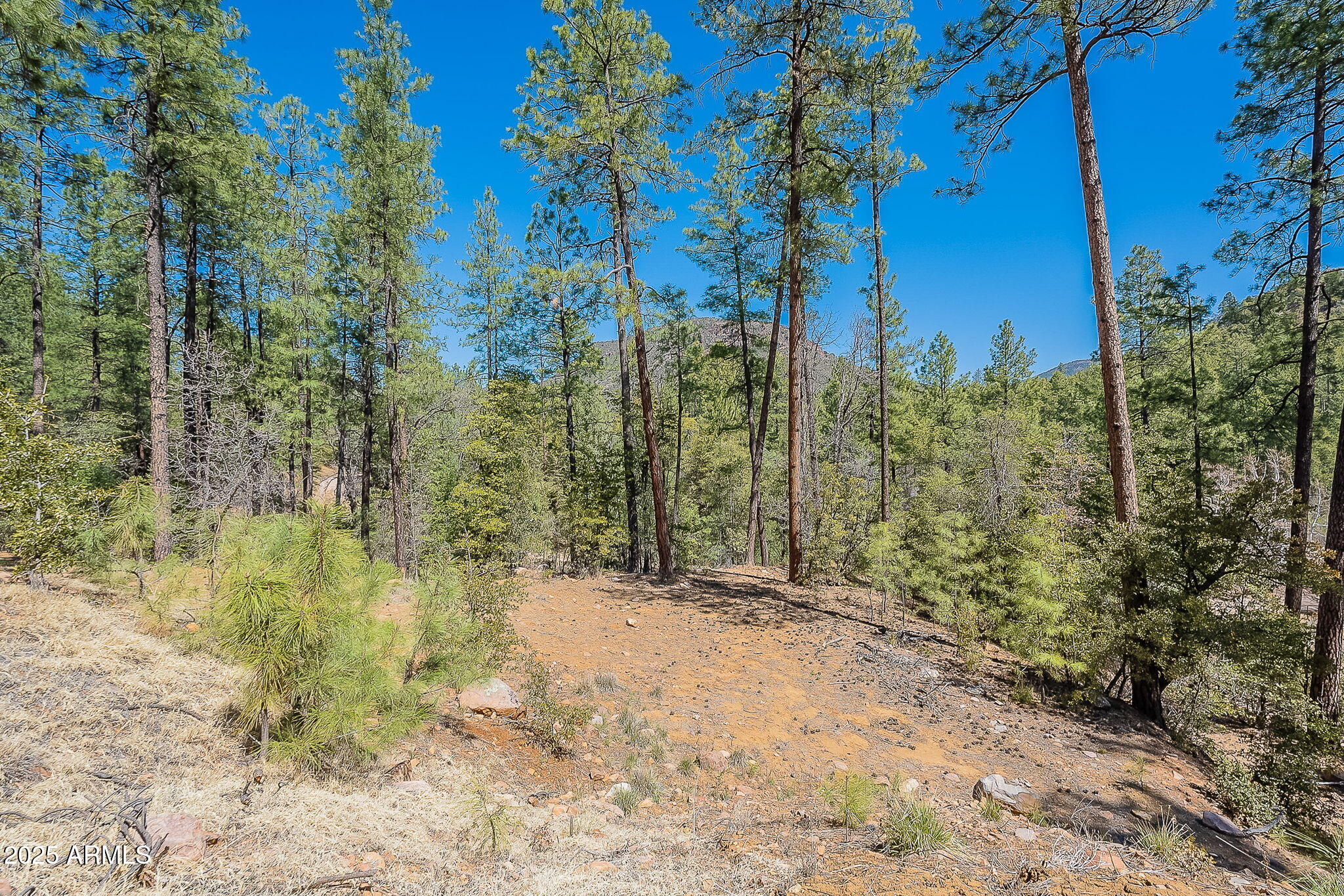 8 N Rose Crk Ranch, 08