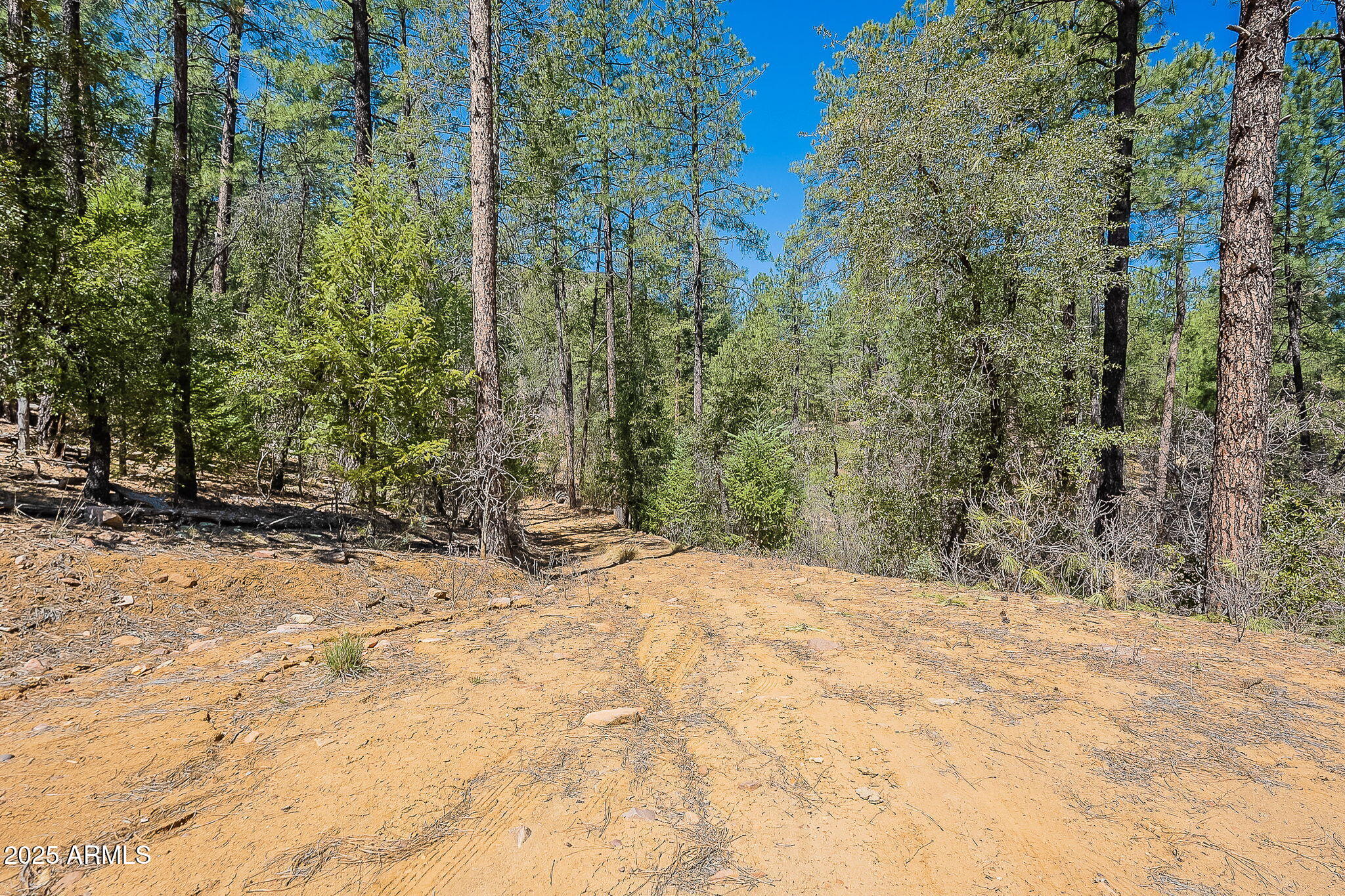 8 N Rose Crk Ranch, 08