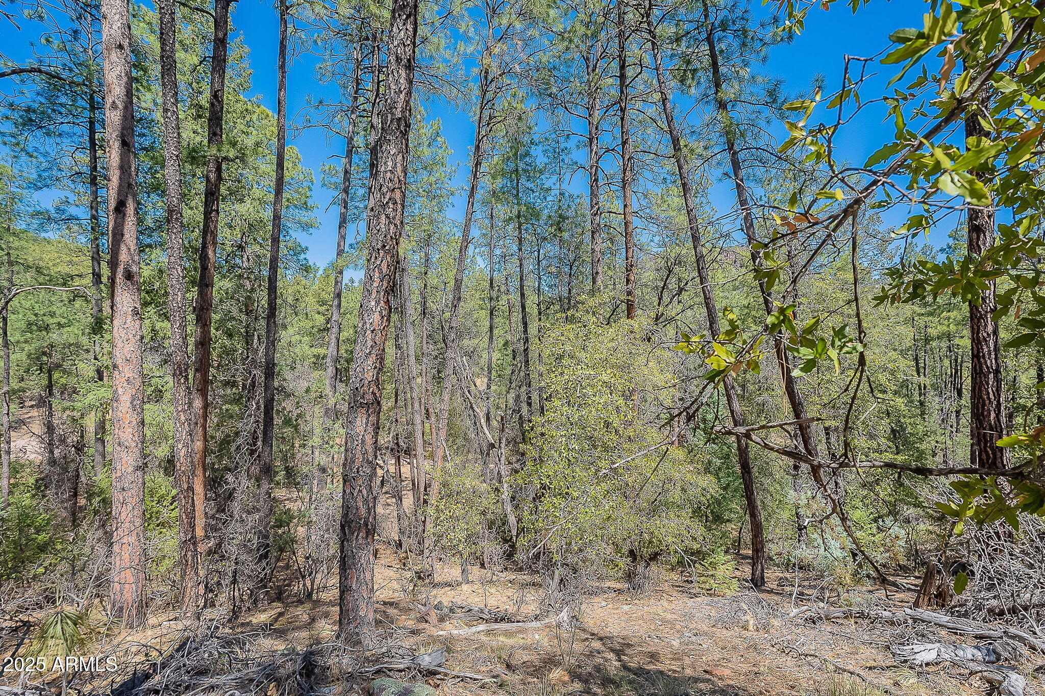 8 N Rose Crk Ranch, 08