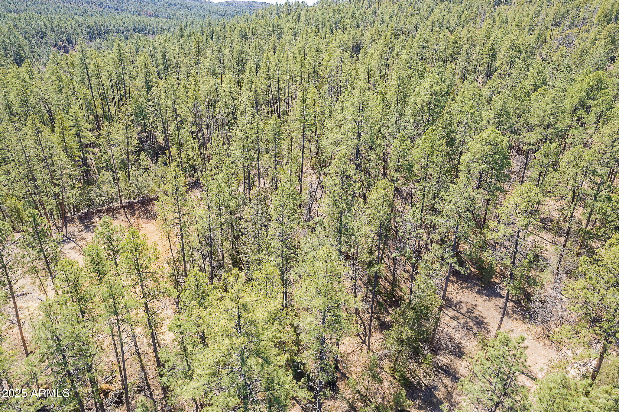 8 N Rose Crk Ranch, 08