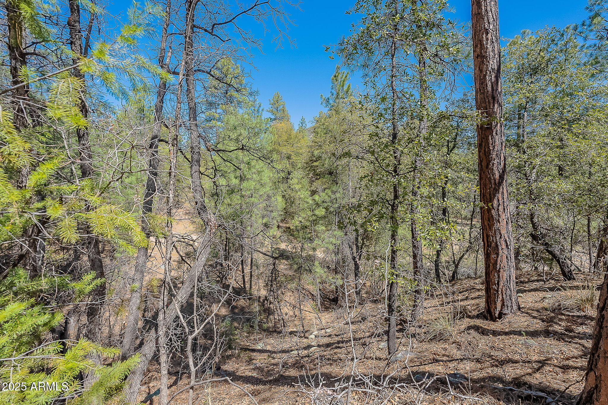 8 N Rose Crk Ranch, 08