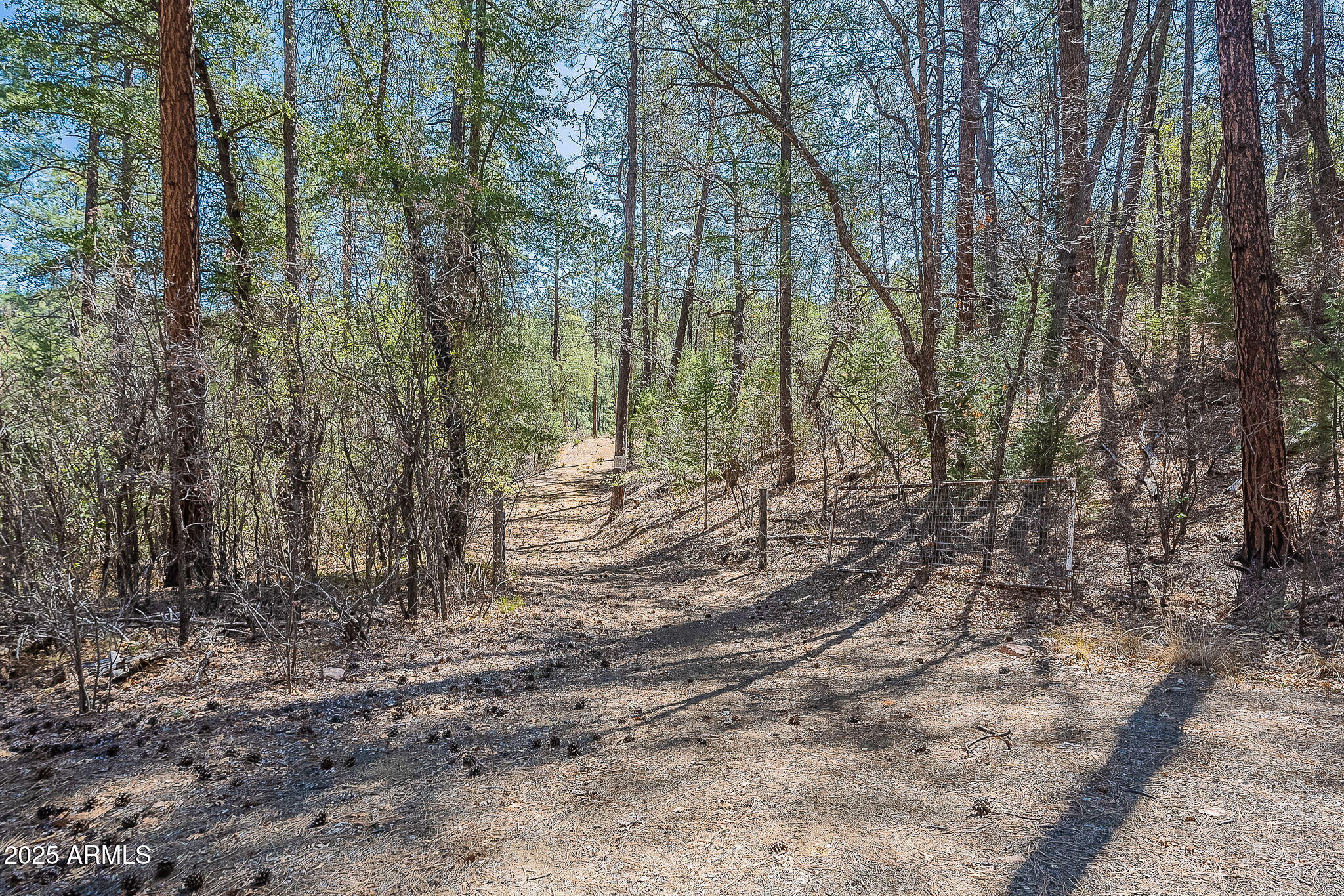 8 N Rose Crk Ranch, 08