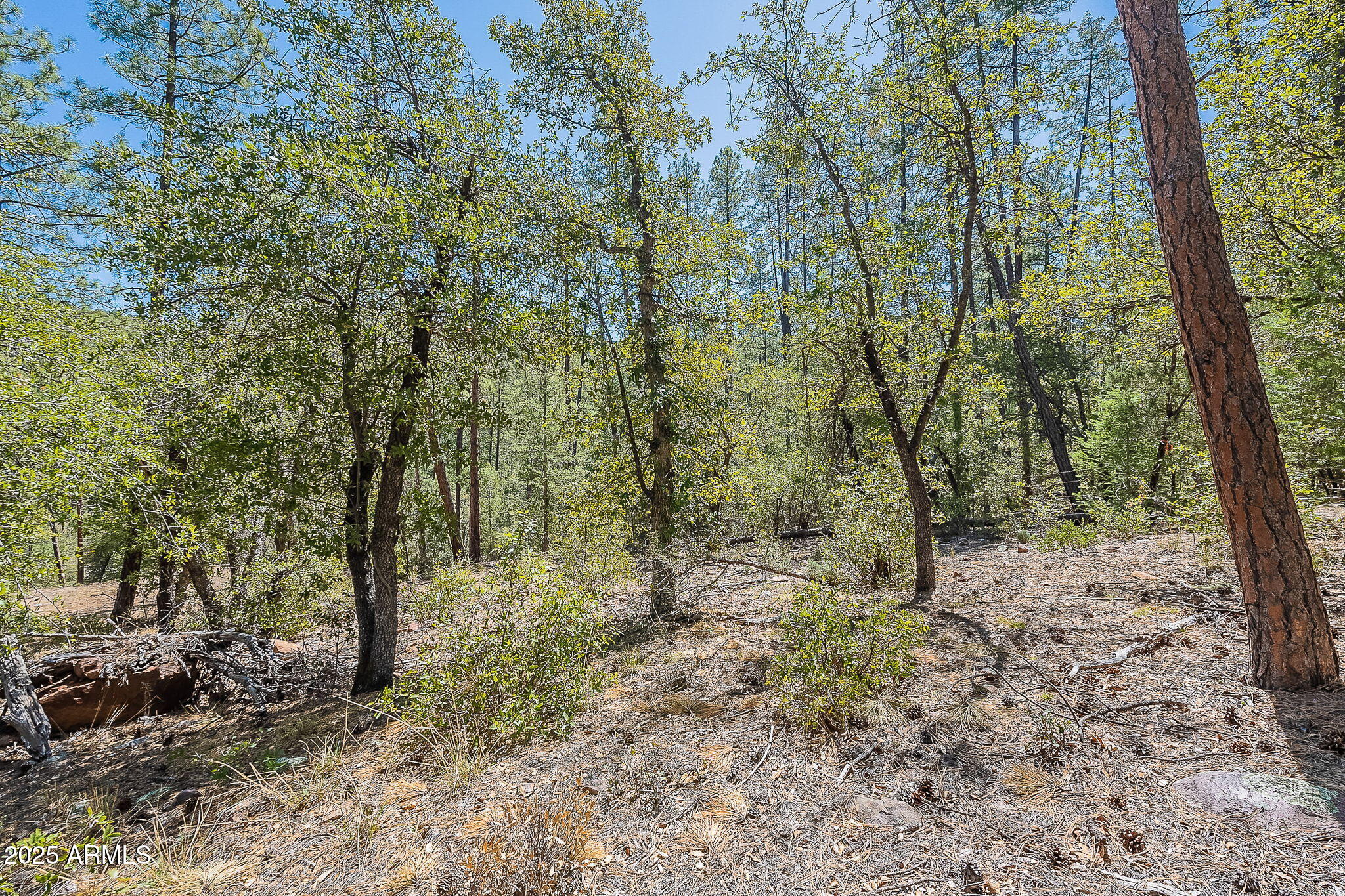 8 N Rose Crk Ranch, 08