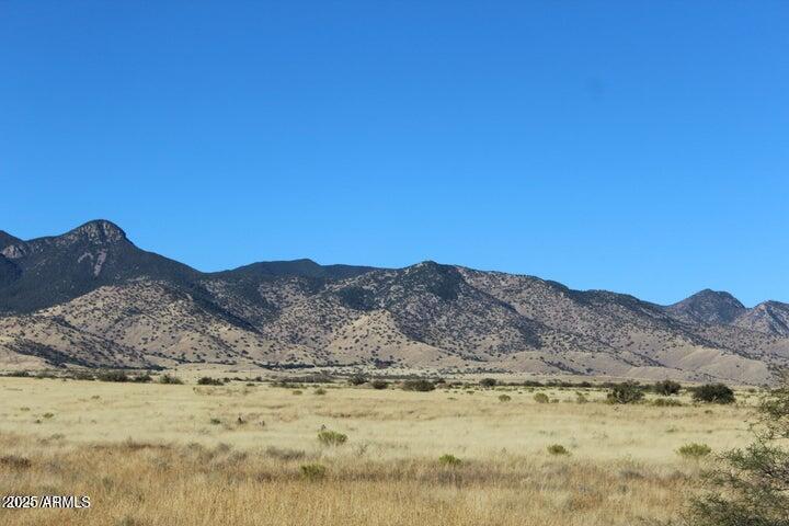 1751 Wildflower Drive