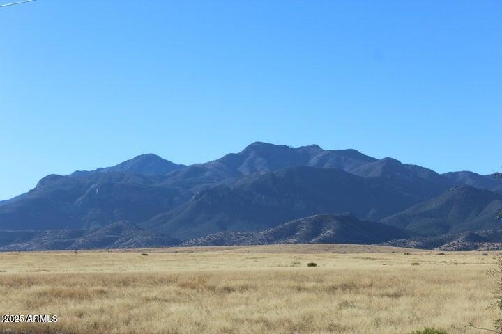 1751 Wildflower Drive