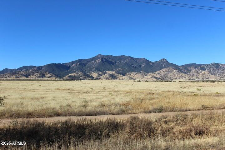 1751 Wildflower Drive