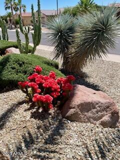 15534 W BIG SKY Drive