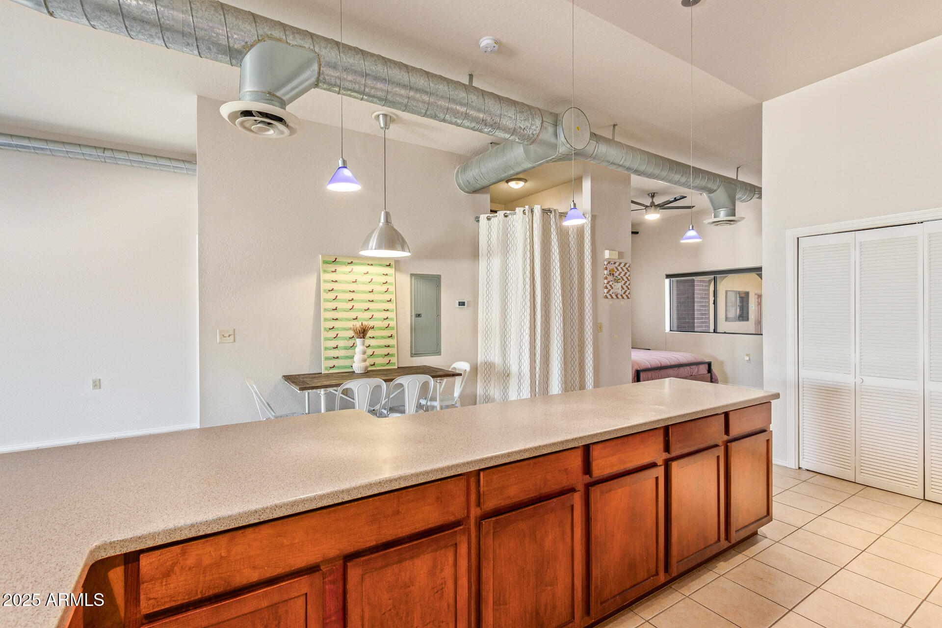 424 S 2ND Street, 203