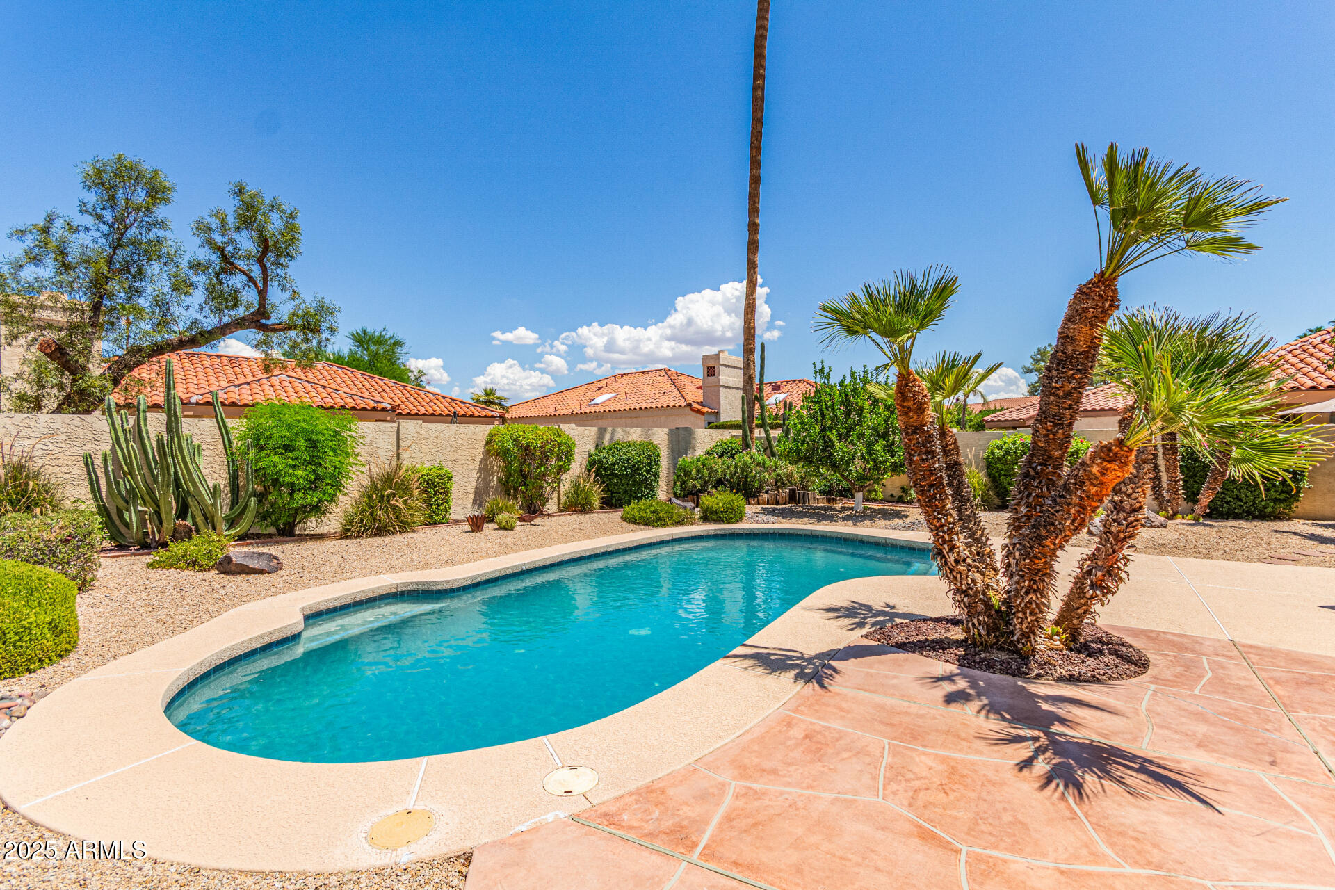 10008 E SADDLEHORN Trail