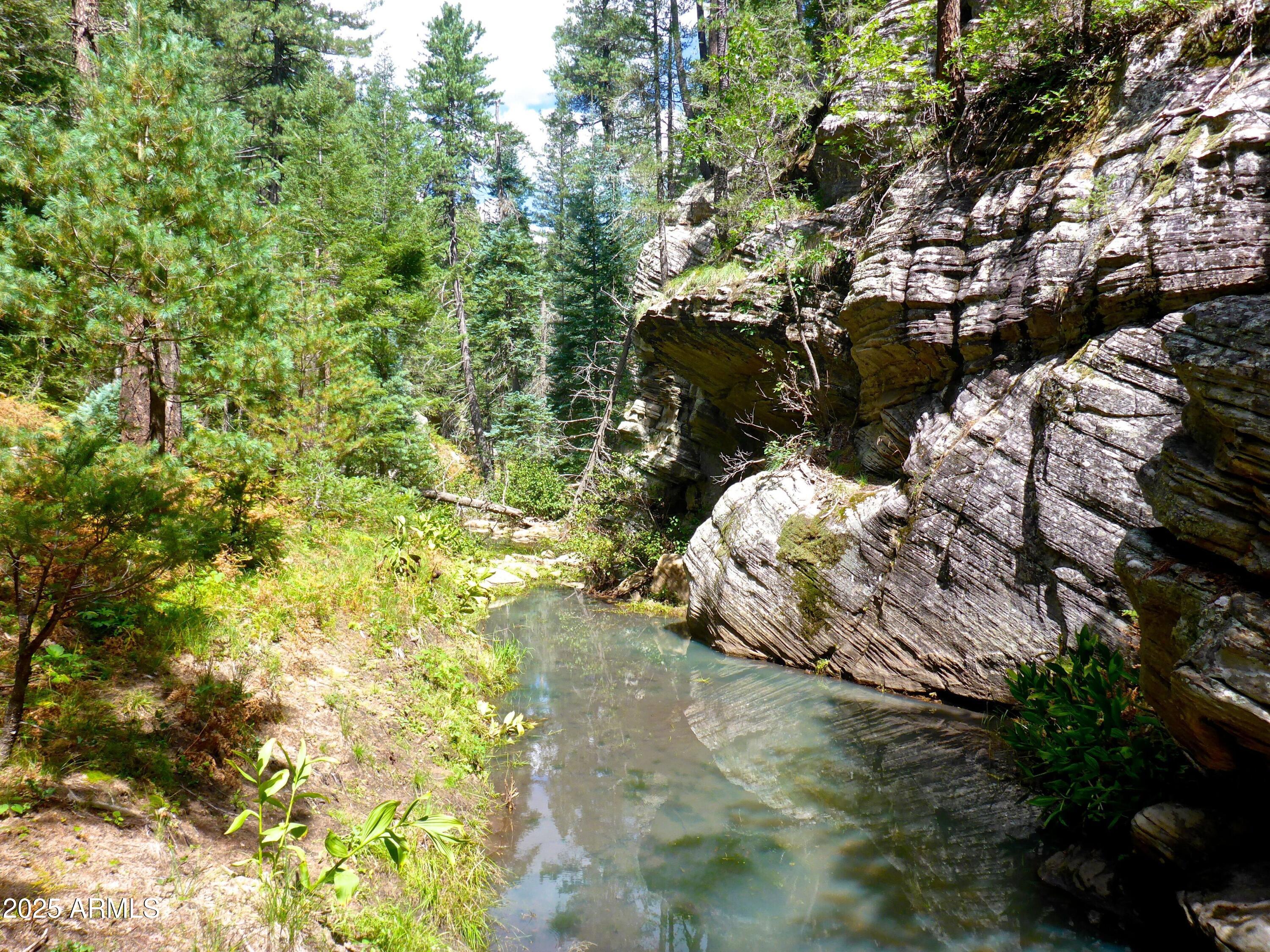 5131 Forest Service Road 137A Road Prcl40375003B A & B