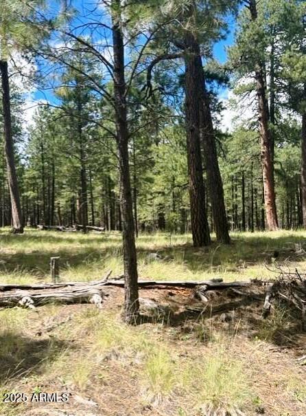 5131 Forest Service Road 137A Road Prcl40375003B A & B