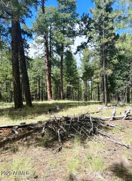 5131 Forest Service Road 137A Road Prcl40375003B A & B