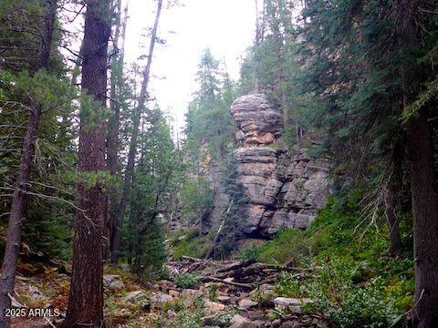 5131 Forest Service Road 137A Road Prcl40375003B A & B