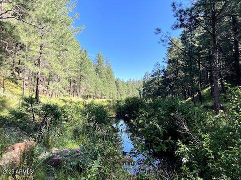 5131 Forest Service Road 137A Road Prcl40375003B A & B