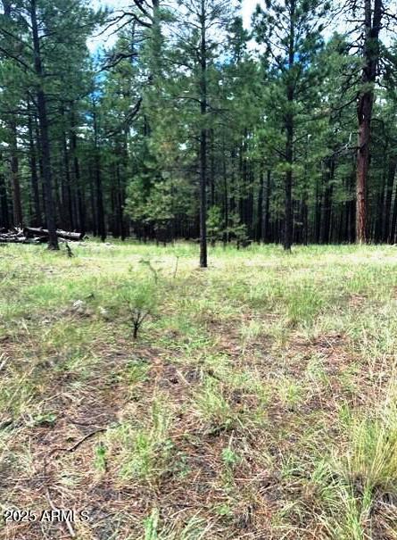 5131 Forest Service Road 137A Road Prcl40375003B A & B