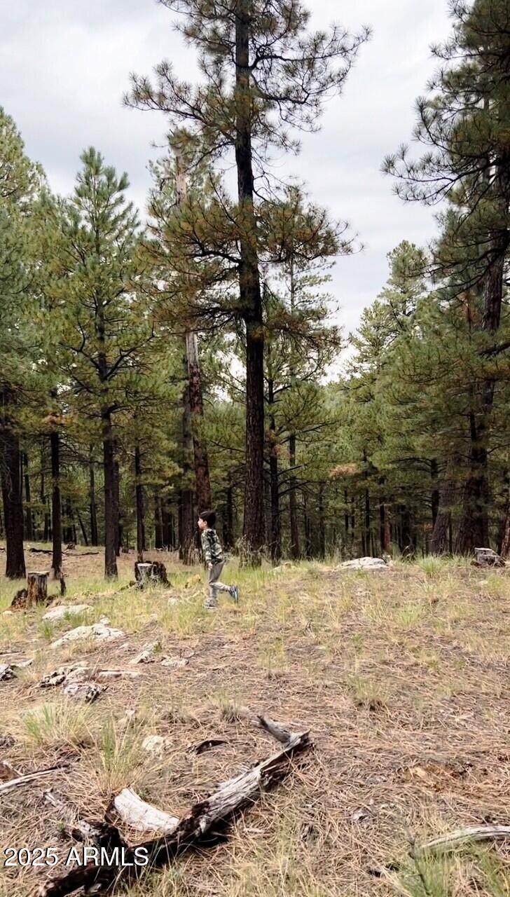 5131 Forest Service Road 137A Road Prcl40375003B A & B