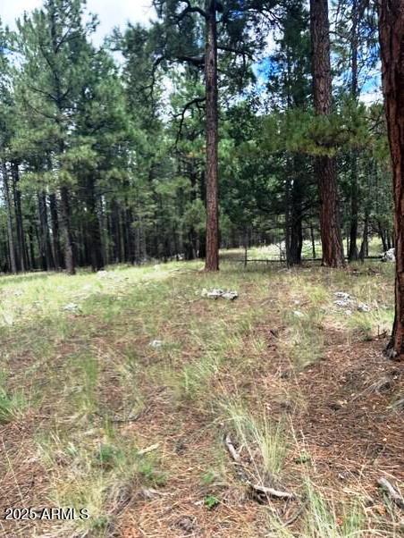 5131 Forest Service Road 137A Road Prcl40375003B A & B