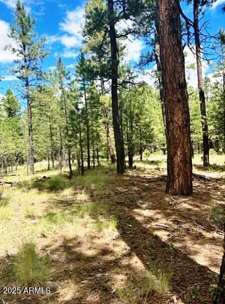 5131 Forest Service Road 137A Road Prcl40375003B A & B
