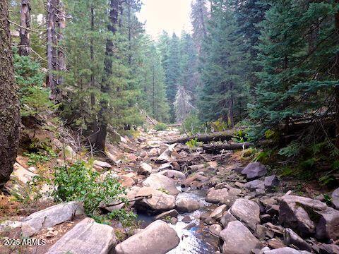 5131 Forest Service Road 137A Road Prcl40375003B A & B