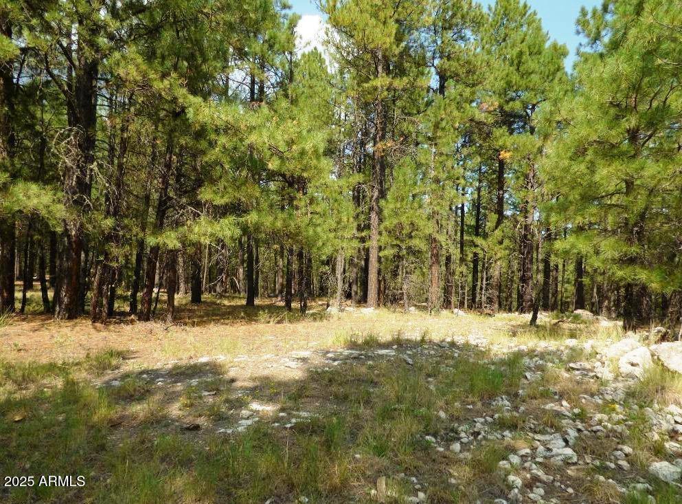 5131 Forest Service Road 137A Road Prcl40375003B A & B