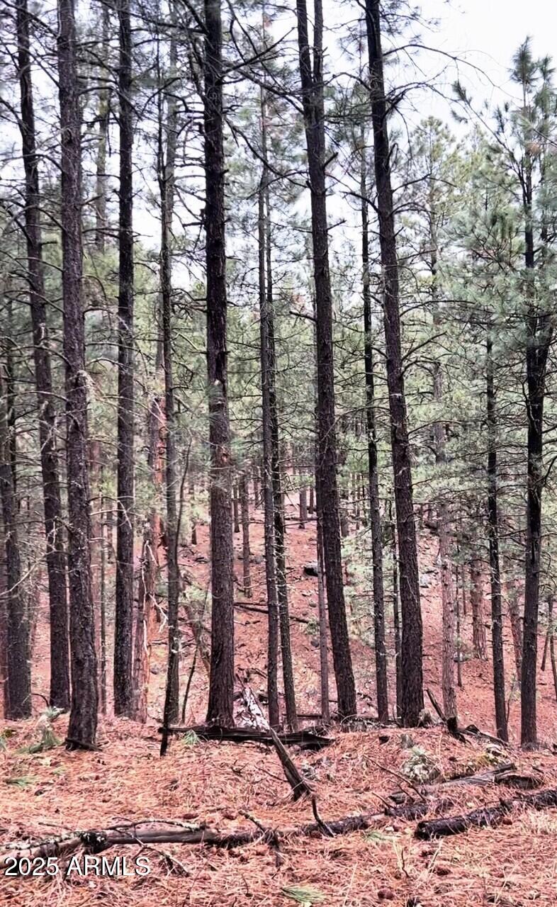 5131 Forest Service Road 137A Road Prcl40375003B A & B