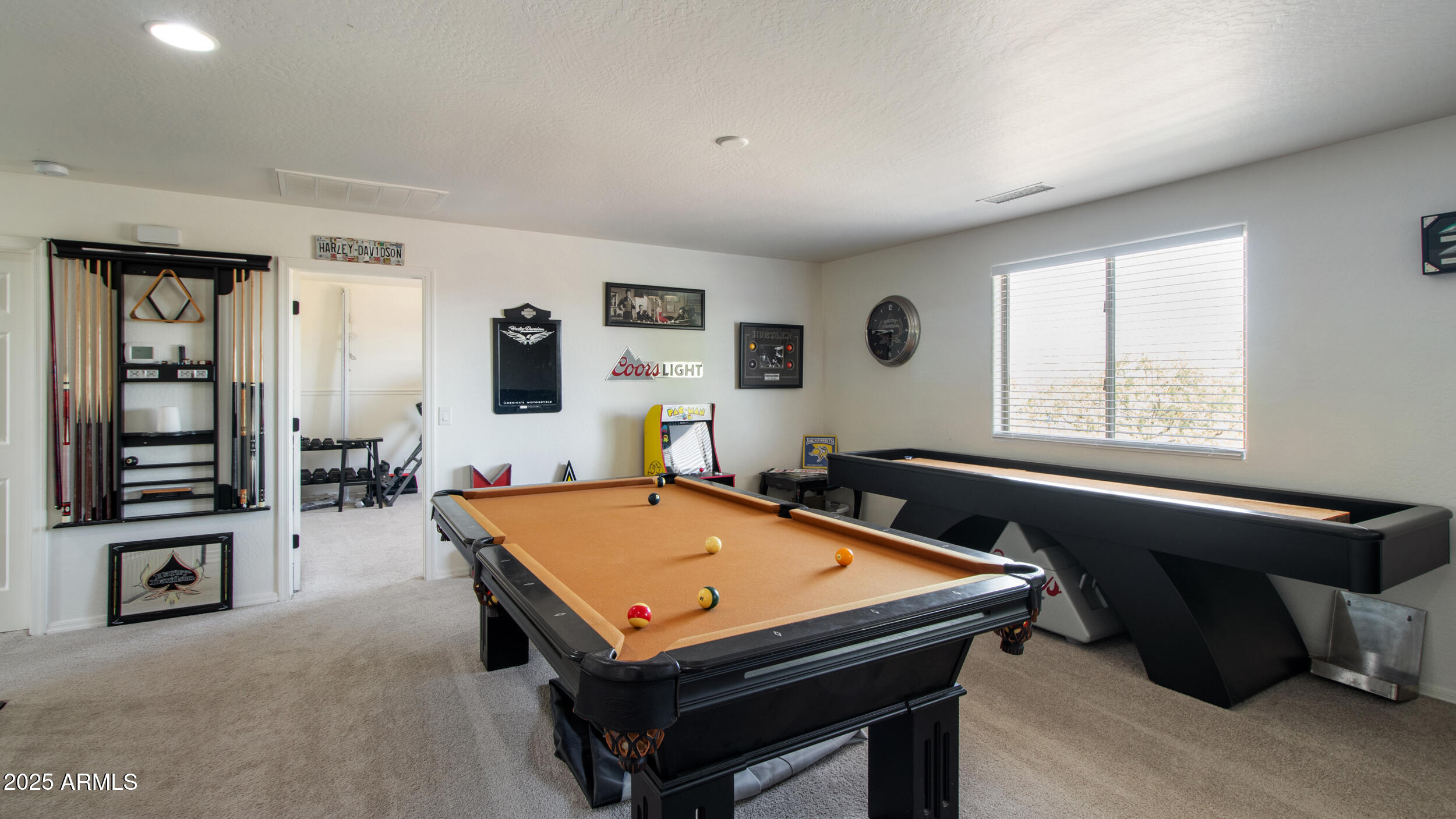 26078 W POTTER Drive