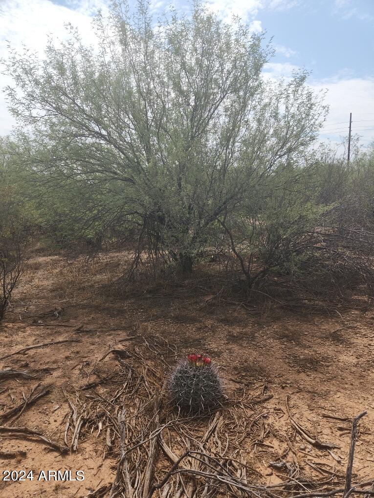 17847 W HUSKER Lane W