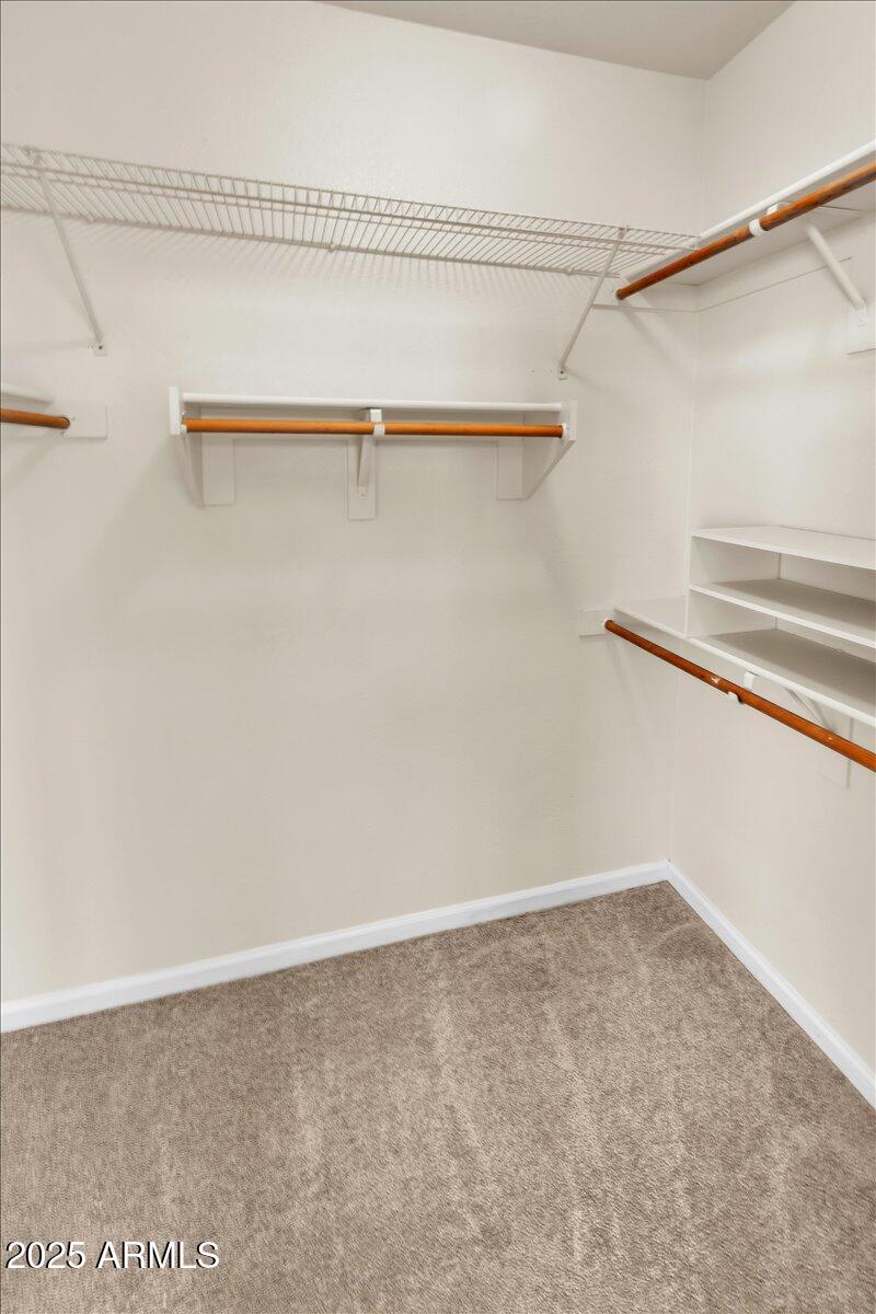 4307 E SOUTH FORK Drive