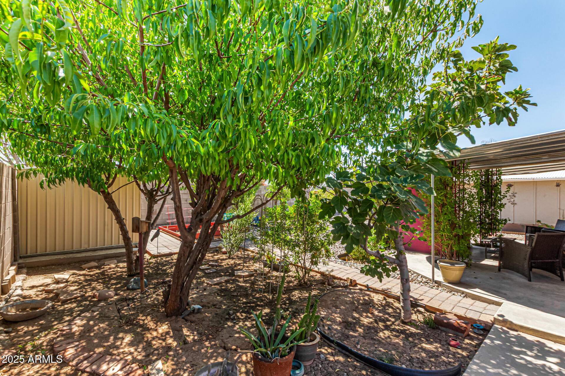 651 E CARLA VISTA Drive