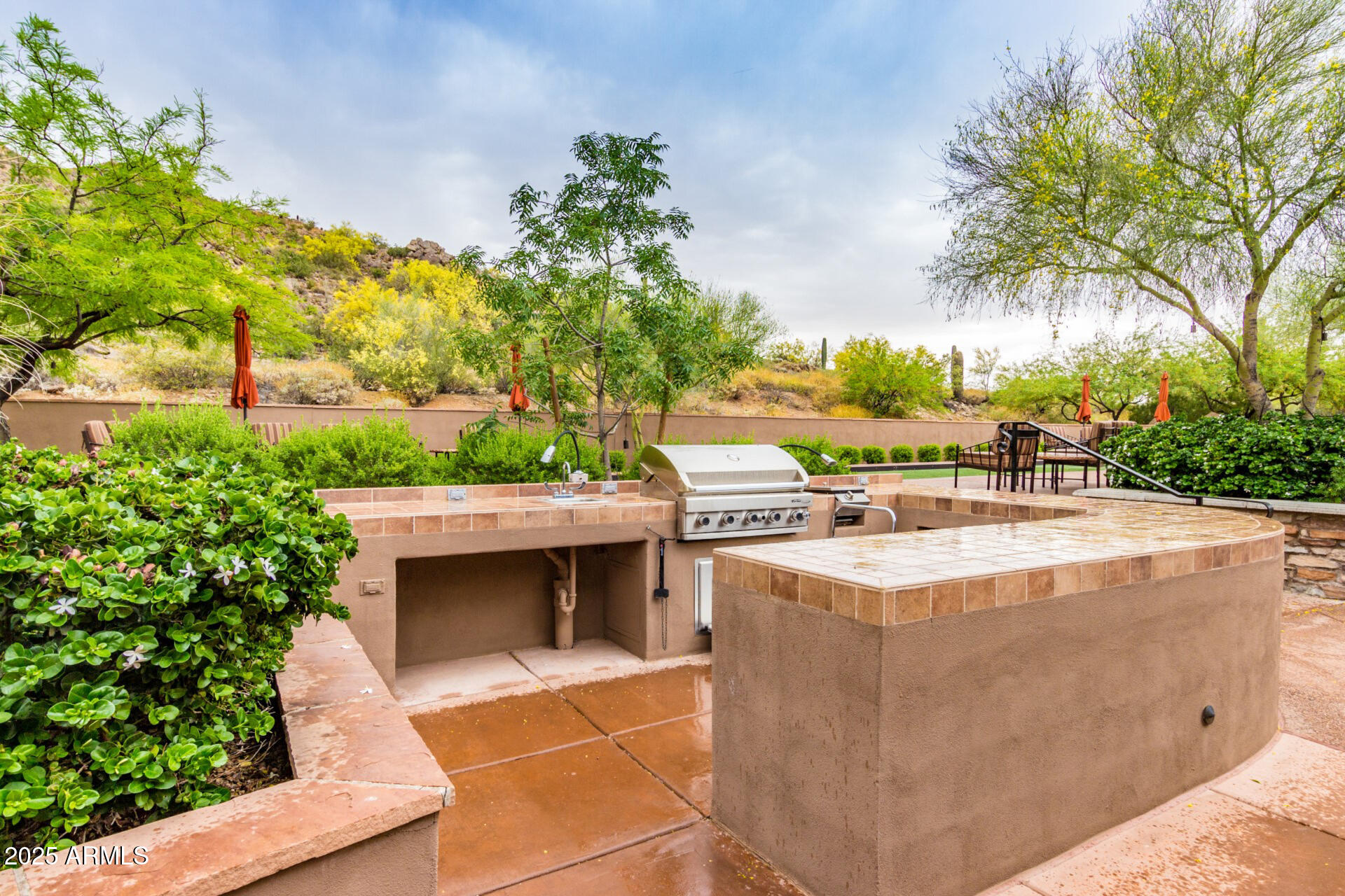 31538 N LARKSPUR Drive