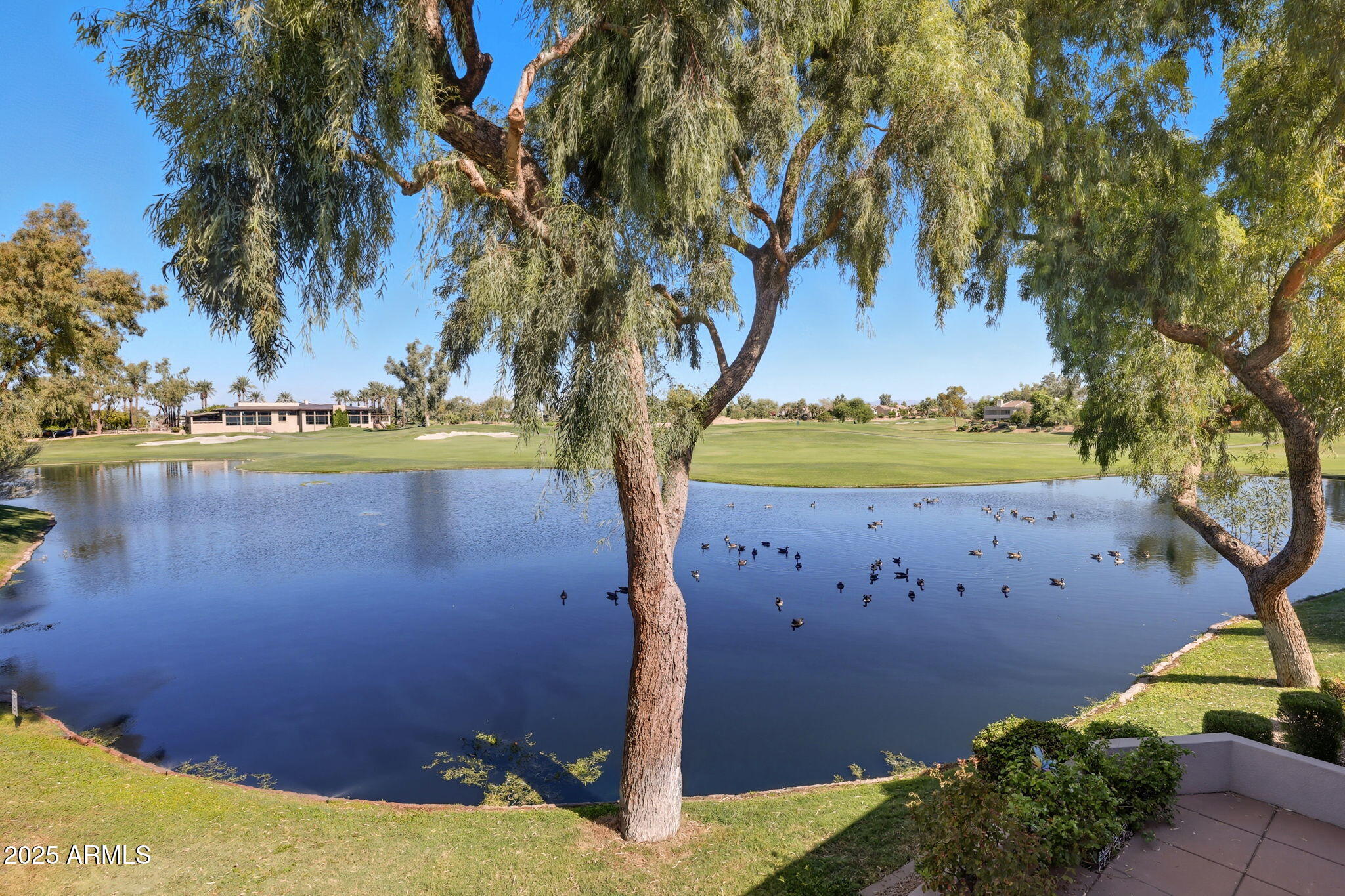 8989 N GAINEY CENTER Drive, 114