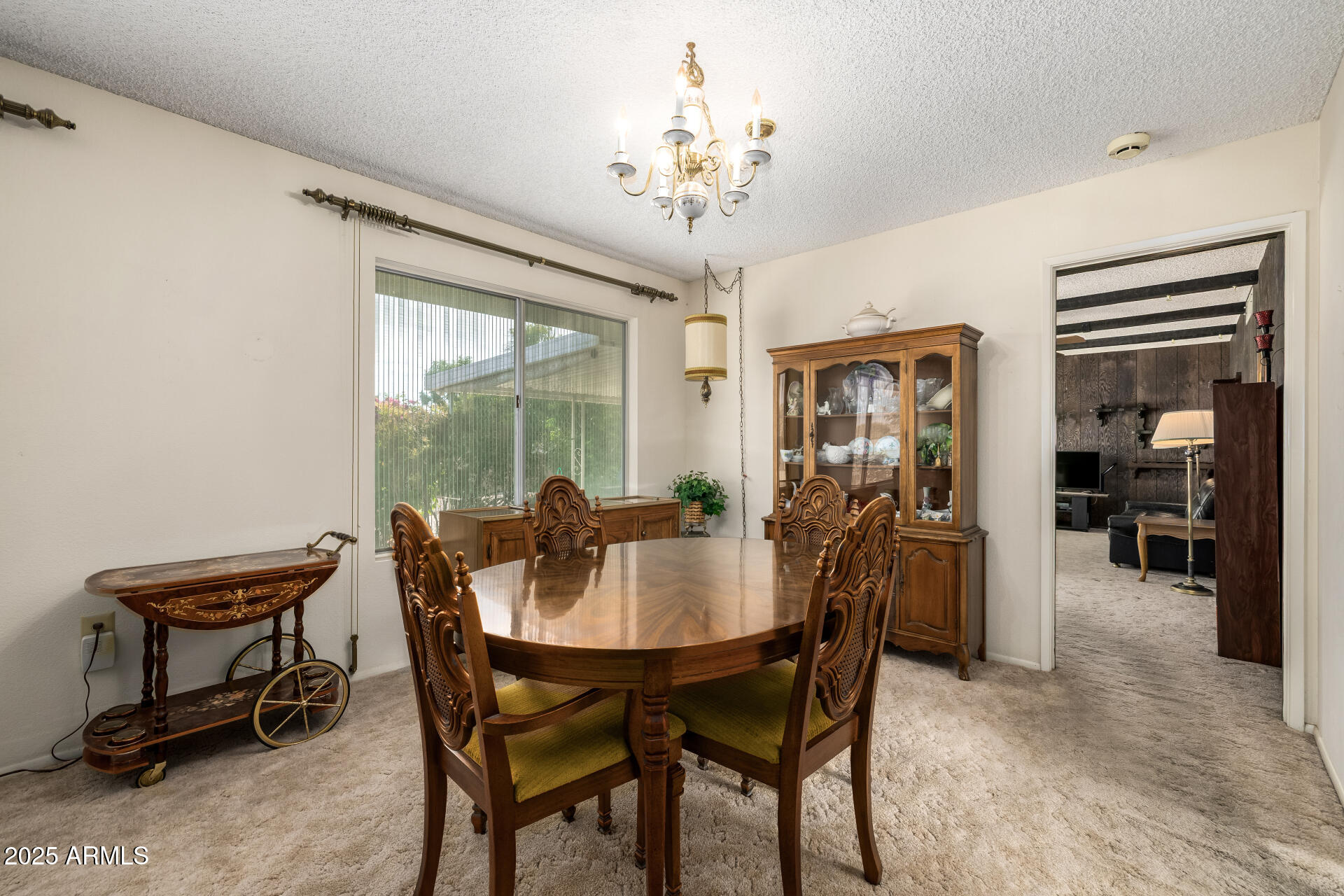 10729 W Amber Trail Trail