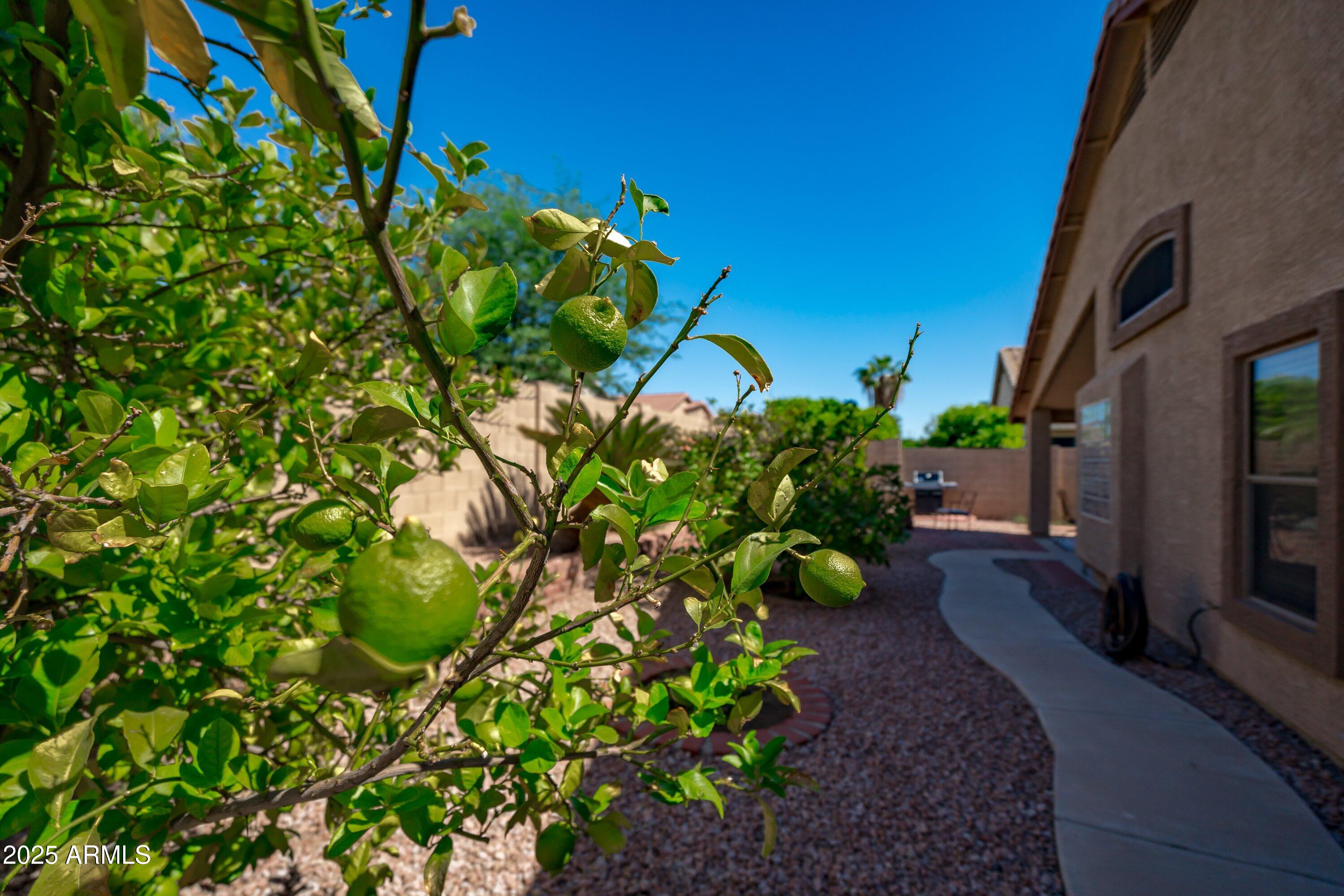 11250 E PRAIRIE Avenue