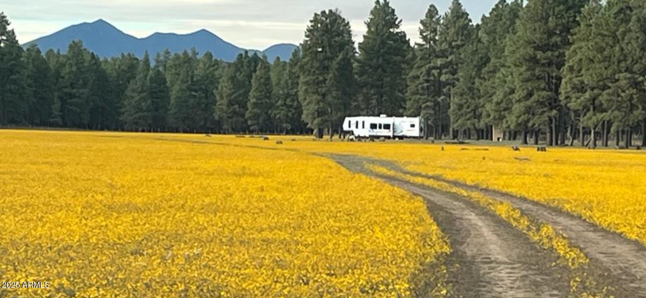 XXXXX E Newman Park Rd, 2, Flagstaff Unit: 2