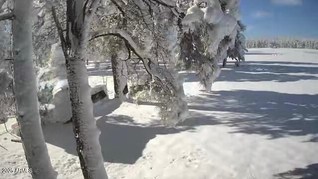 XXXXX E Newman Park Rd, 2, Flagstaff Unit: 2