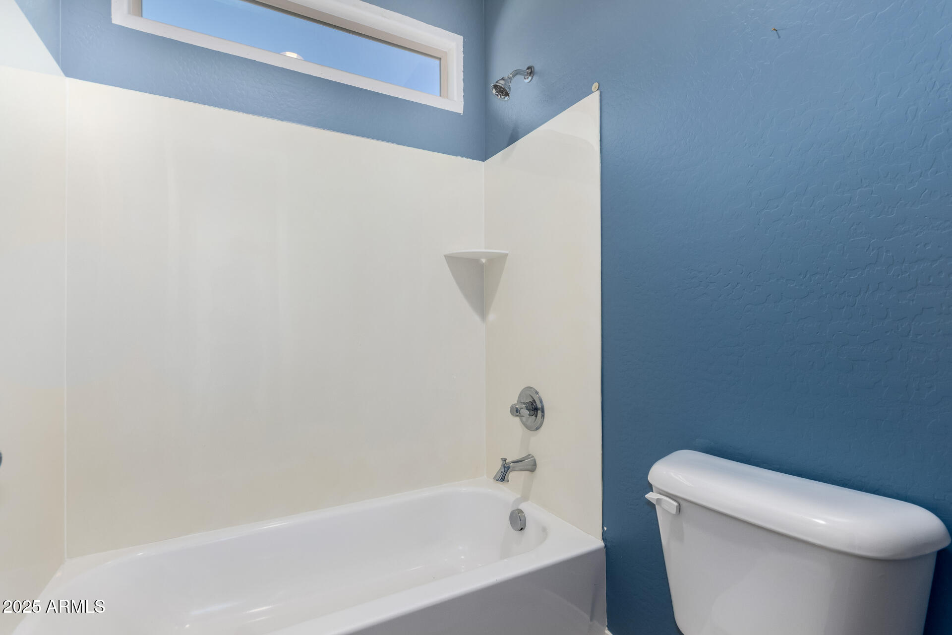 19252 W DENTON Street, Litchfield Park