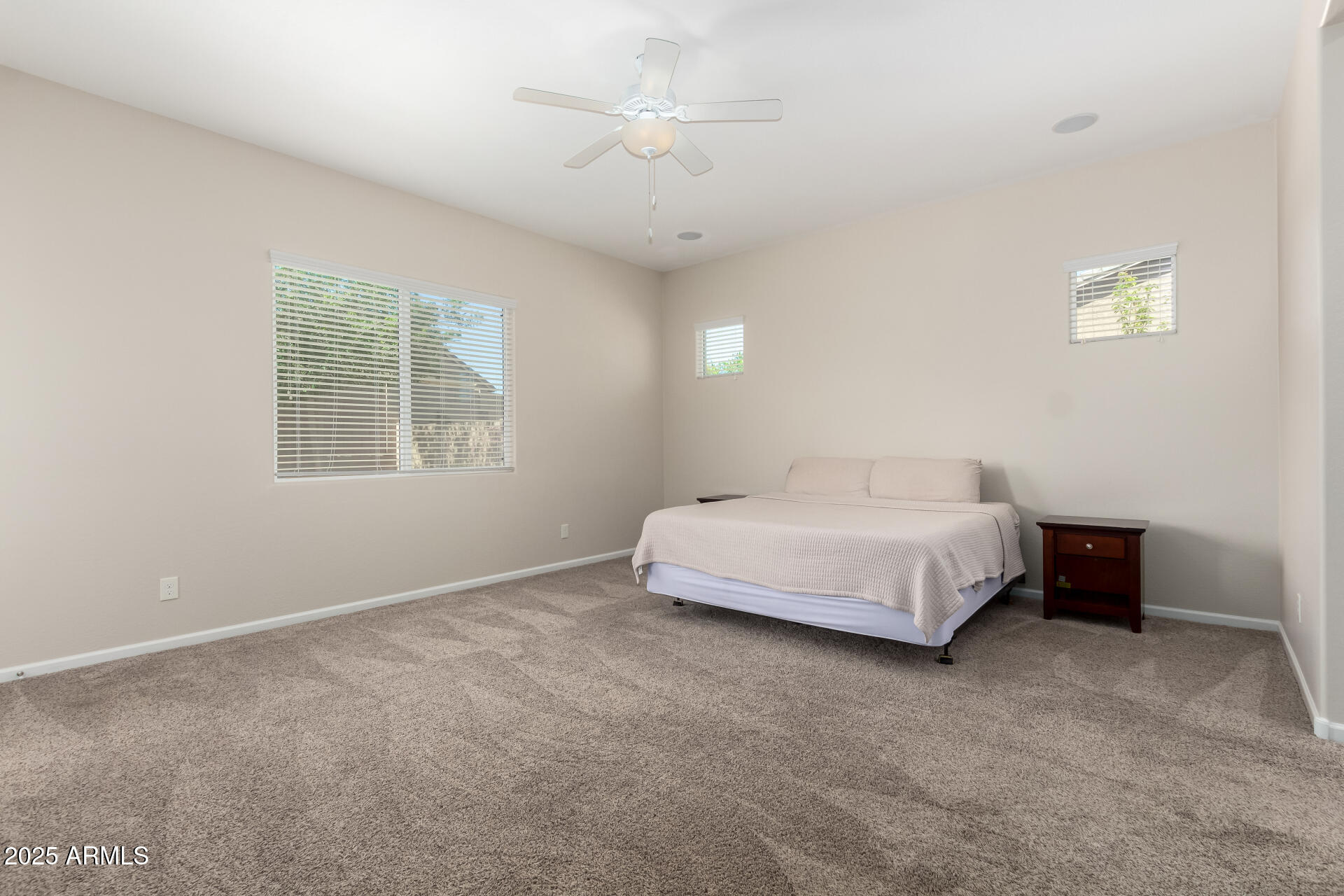 16860 W SOFT WIND Drive, Surprise