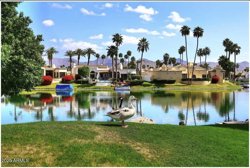 10008 E SADDLEHORN Trail, Scottsdale