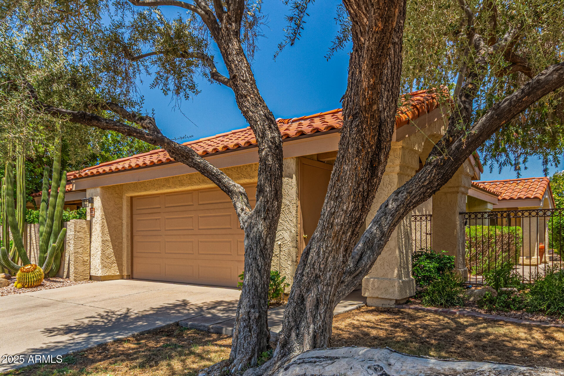 10008 E SADDLEHORN Trail, Scottsdale