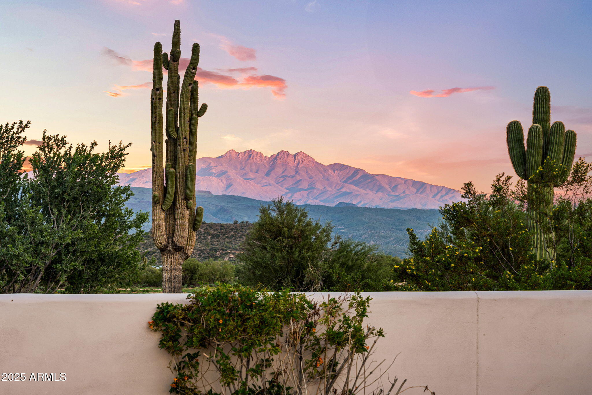 26915 N 162nd Street