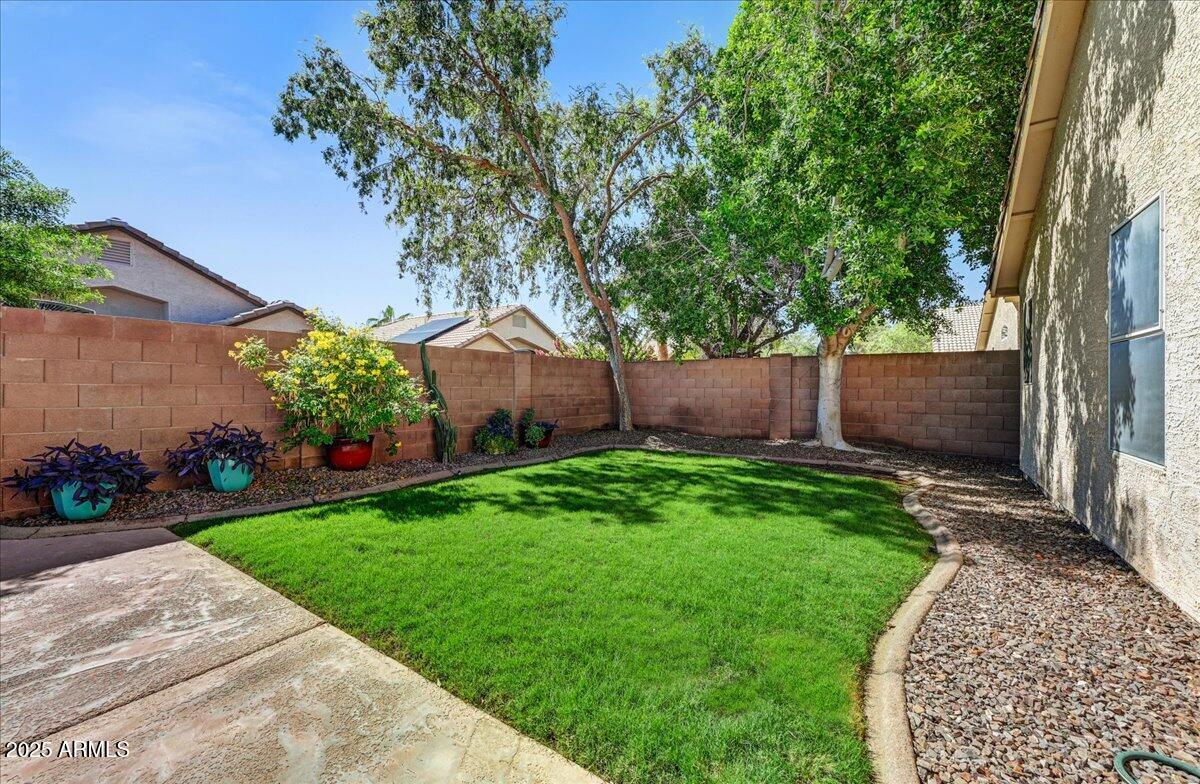 4209 E ROSEMONTE Drive, Phoenix