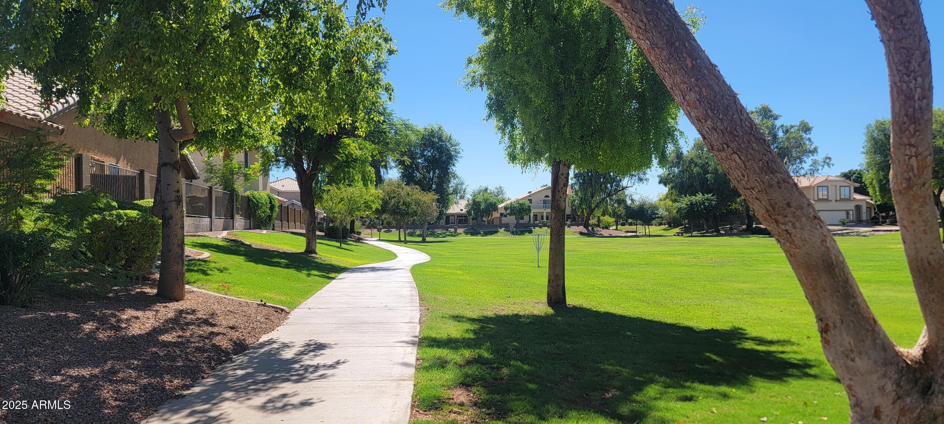 364 E APPALOOSA Court