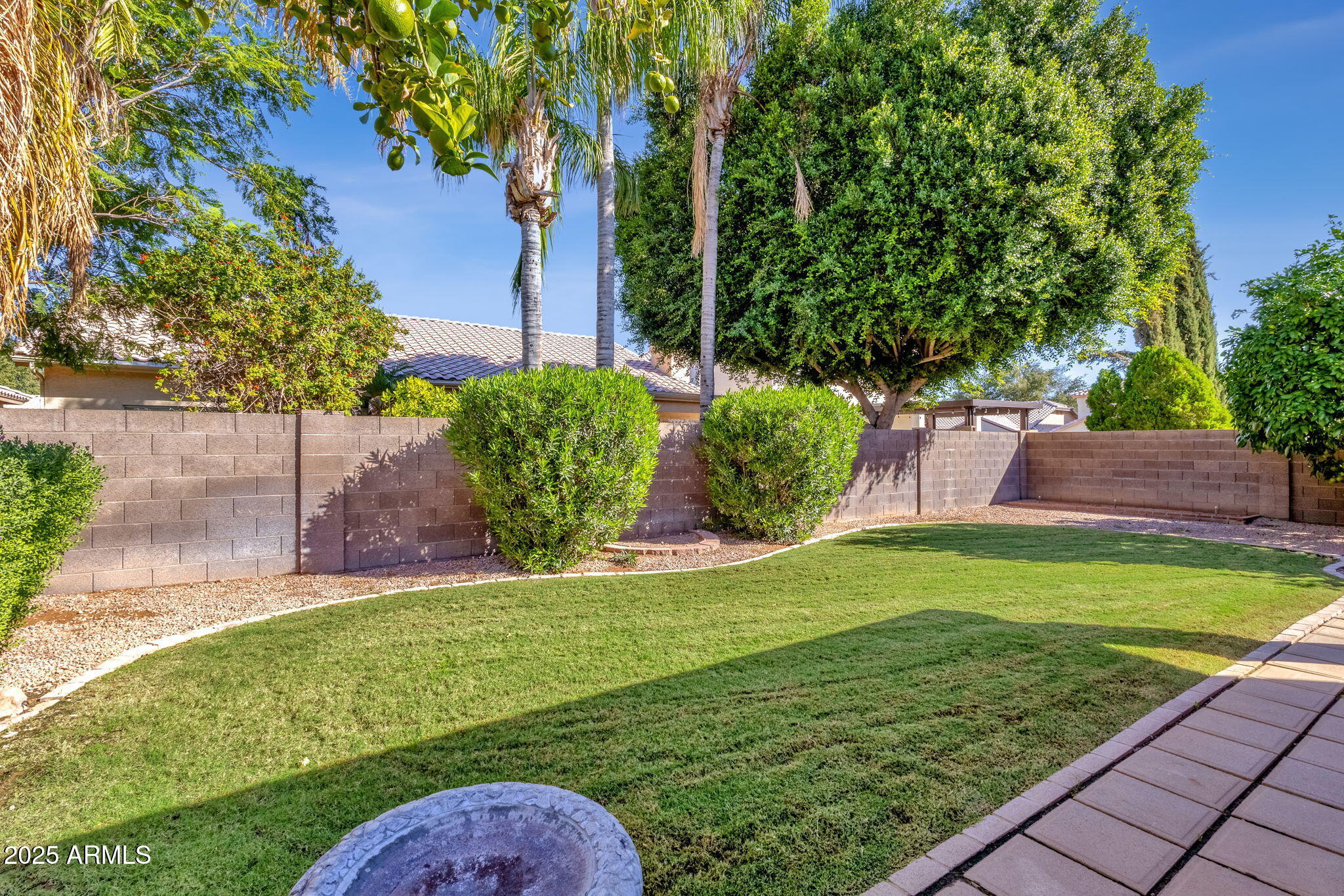 364 E APPALOOSA Court