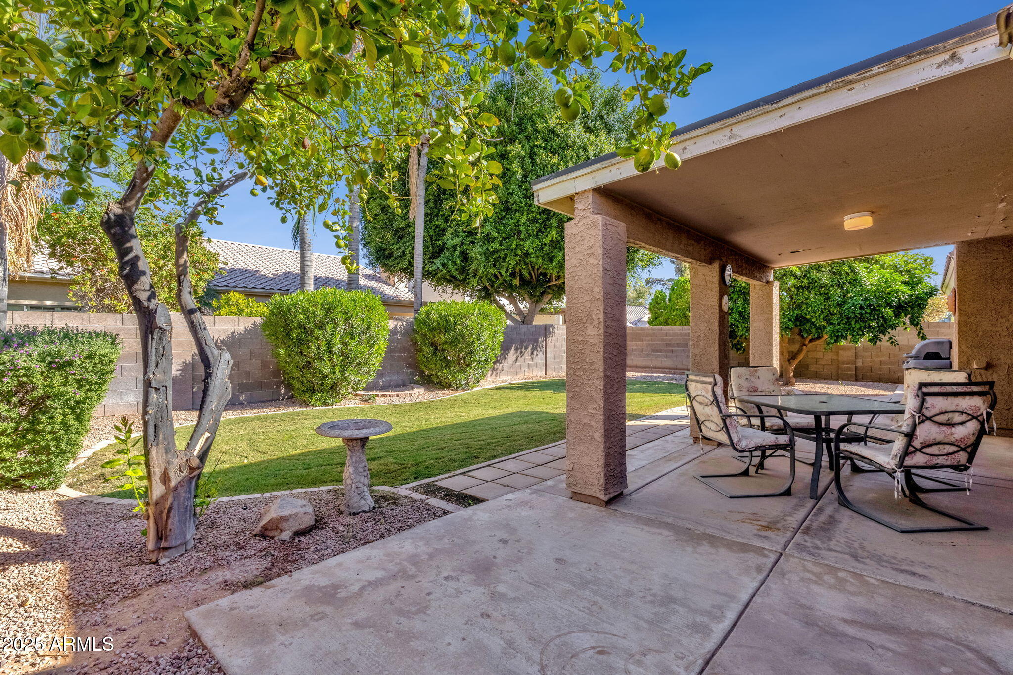 364 E APPALOOSA Court