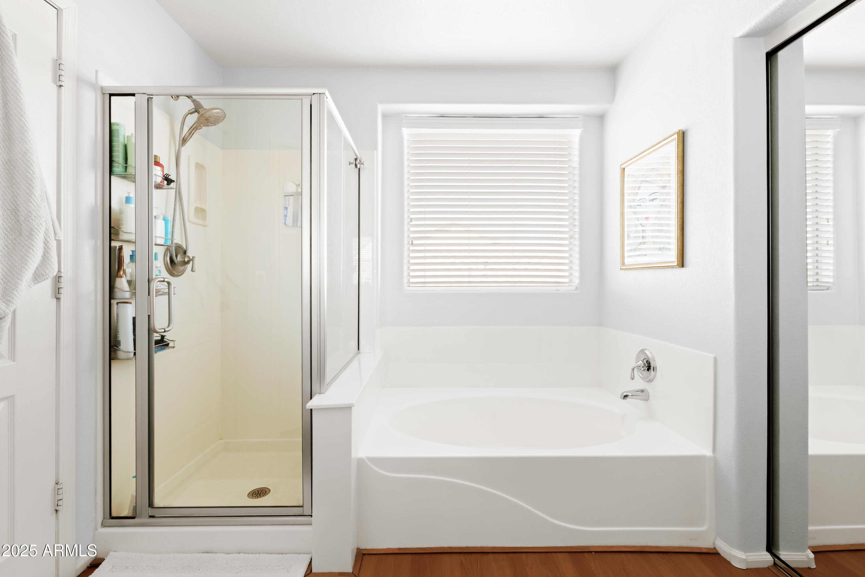 2510 W WHITE FEATHER Lane, Phoenix