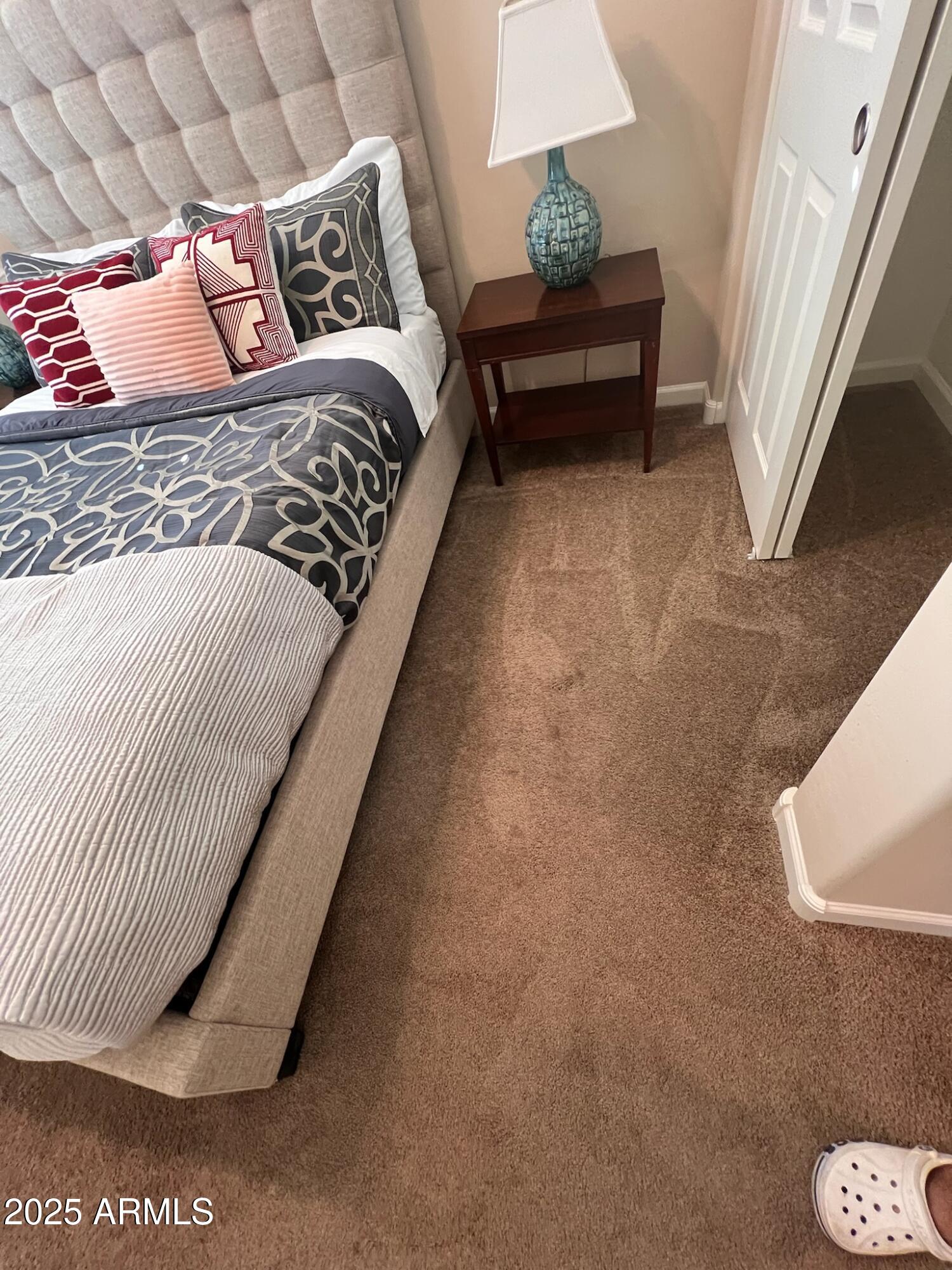 29316 N LONE PINE Lane