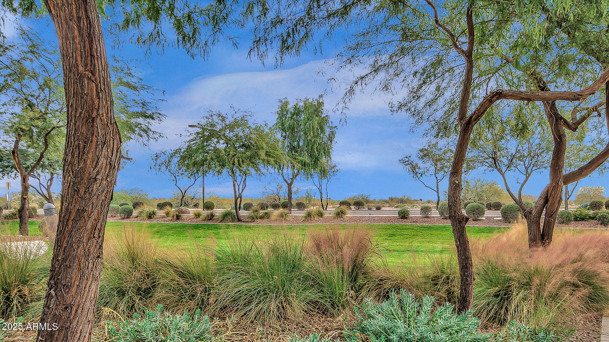 17334 W RUNNING DEER Trail