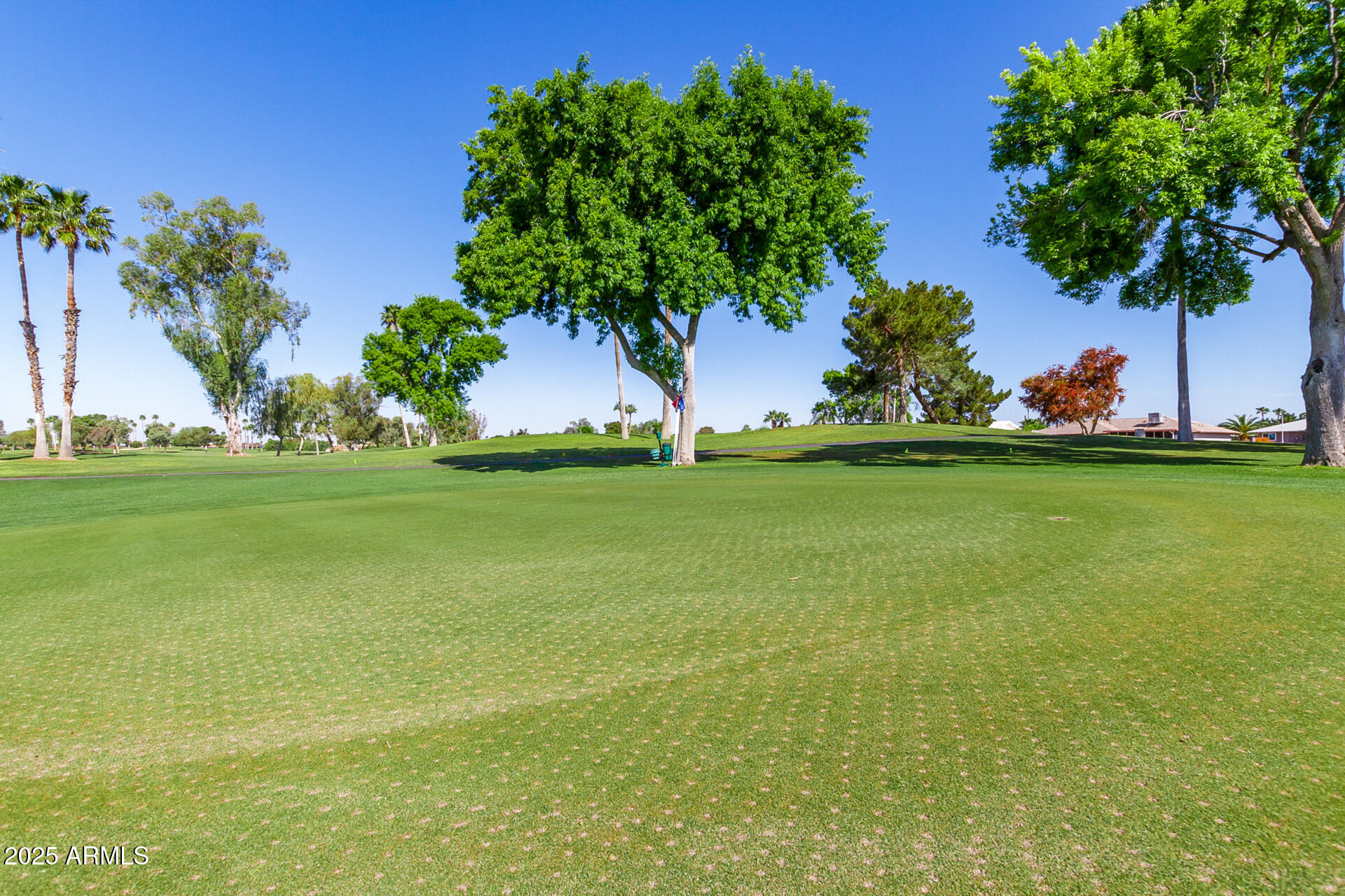 12939 W PROSPECT Drive