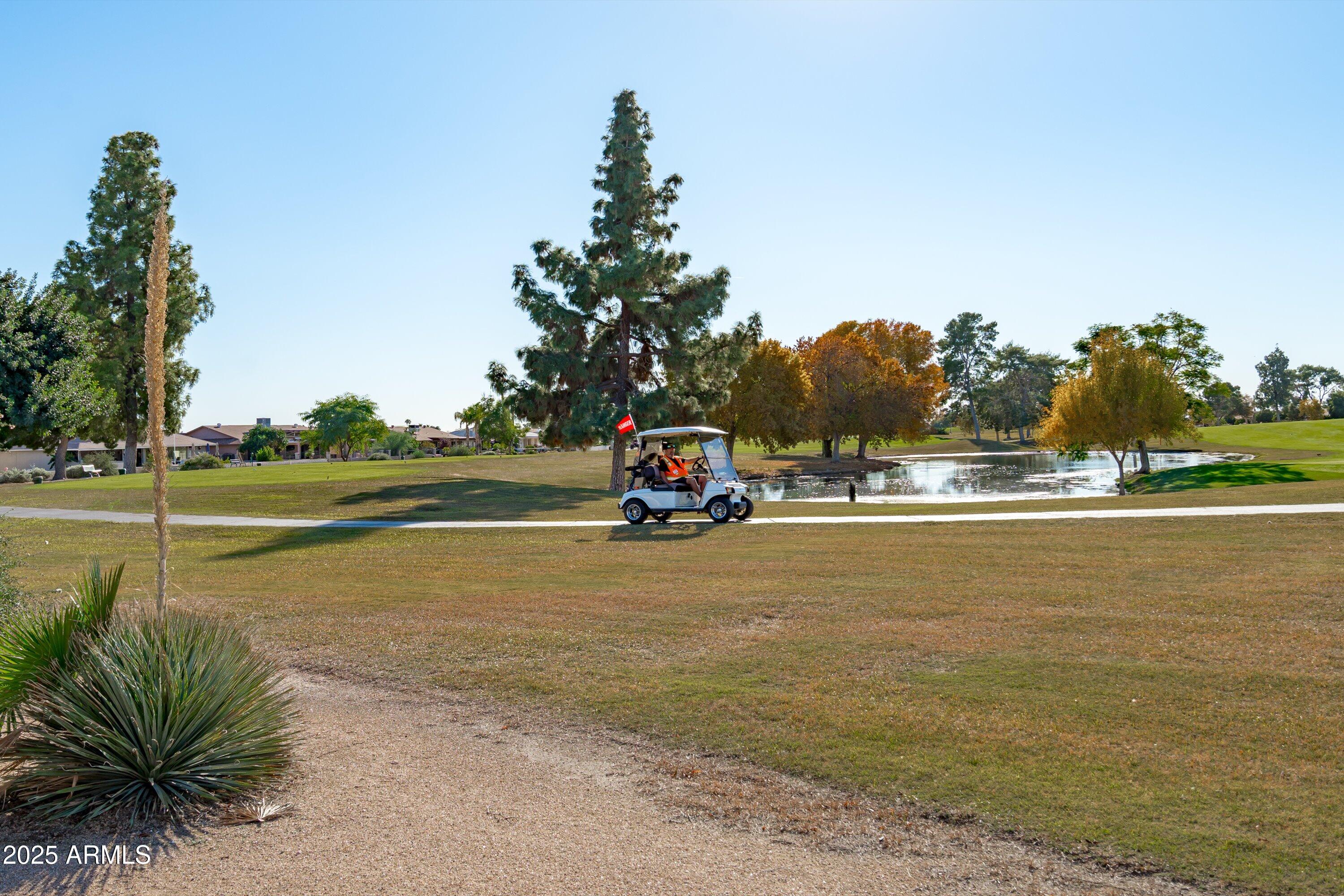 19820 N Cherry Tree Lane