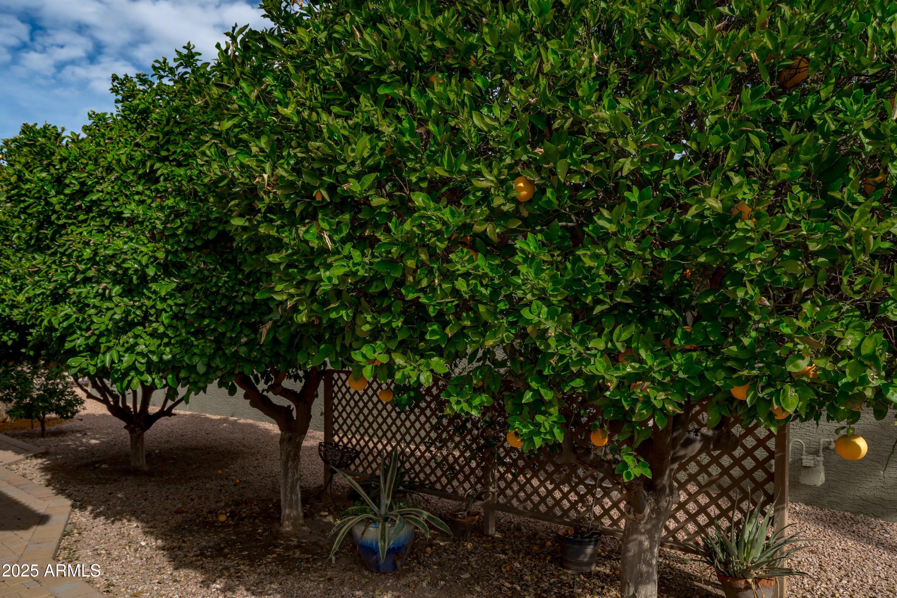 9130 E CRYSTAL Drive